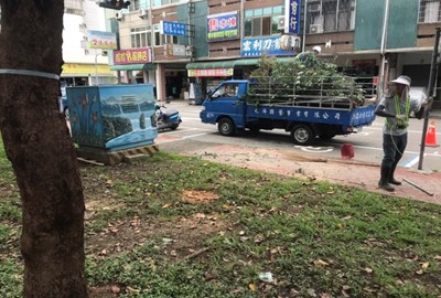 興進路路樹倒塌移除