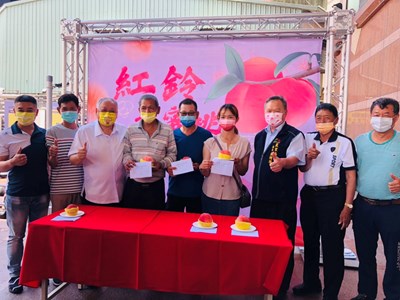 台中市太平區優質水蜜桃果品評鑑